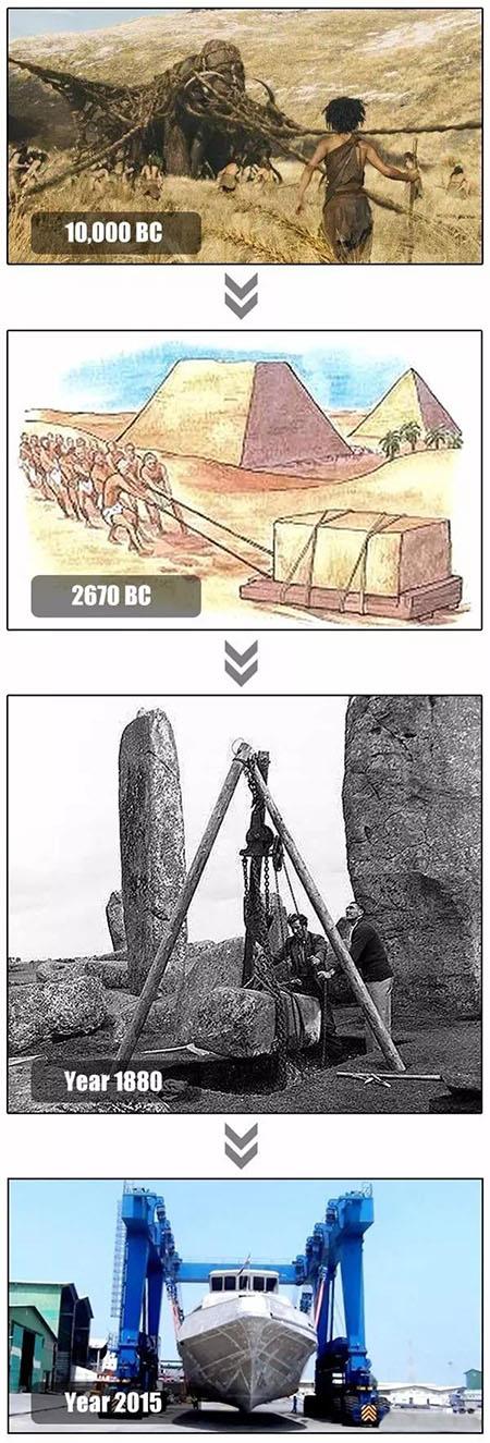 İnsan neden Crane.jpg Need Why Human Beings Need Crane.jpg